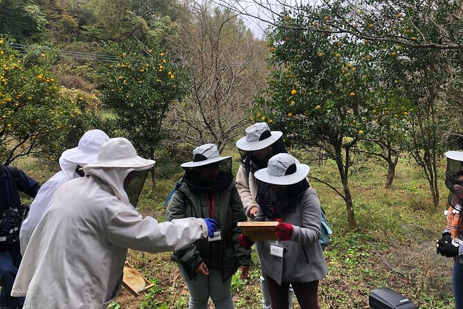 Visiting Beekeeper and Beeswax Craft Making in Bungoono City - Key Points