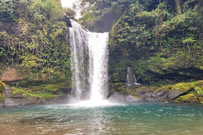 Deluxe Private Tour: Hita, AOT Statues and Onsen from Fukuoka - FAQ