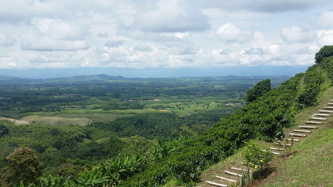 Coffee Tour, Sighting Pereira - Final Thoughts