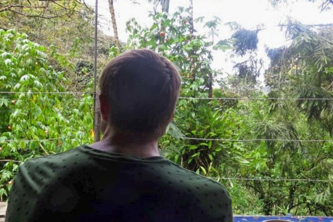 Trekking/Hiking/Acaime Cocora Valley from Pereira/Armenia - A Detailed Look at the Cocora Valley Hike