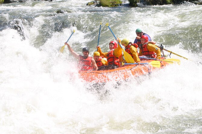 Rogue River Whitewater- Morning Rafting Adventure - Introduction: What to Expect on the Rogue River Whitewater Adventure