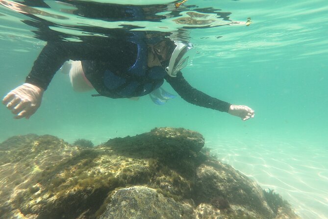 Tour to Bombinhas with Snorkeling Experiência - Who Should Consider This Tour?