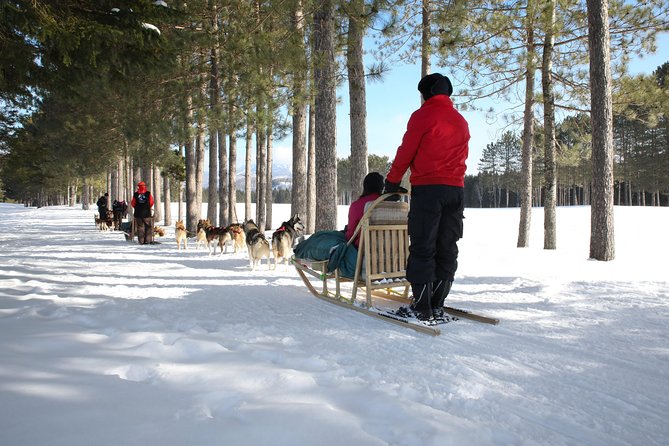 Dogsled Adventure in Mont-Tremblant - FAQs