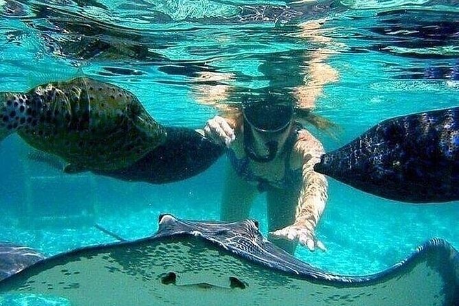 Johnny Cay Tour Haynes Cay Aquarium, Watching and Mangroves - Why Choose This Tour?