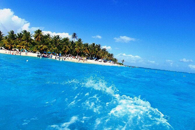 Johnny Cay Tour Haynes Cay Aquarium, Watching and Mangroves - Key Points