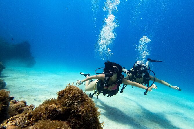 Adventure Diving in San Andres for beginners 4 hours - Practical Details and What to Expect