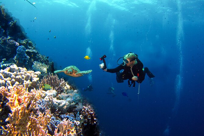 Adventure Diving in San Andres for beginners 4 hours - In-Depth Review of the San Andres Beginner Diving Tour