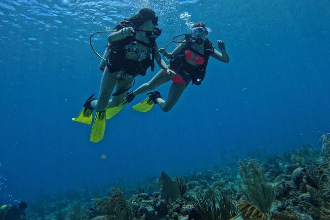 Private Diving Experience for Beginners in San Andres Islands - Key Points