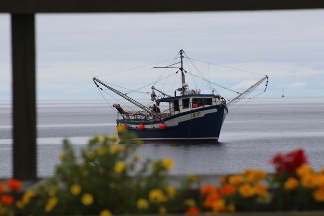 Conception Bay Tour Experience - Comprehensive Review of the Conception Bay Tour