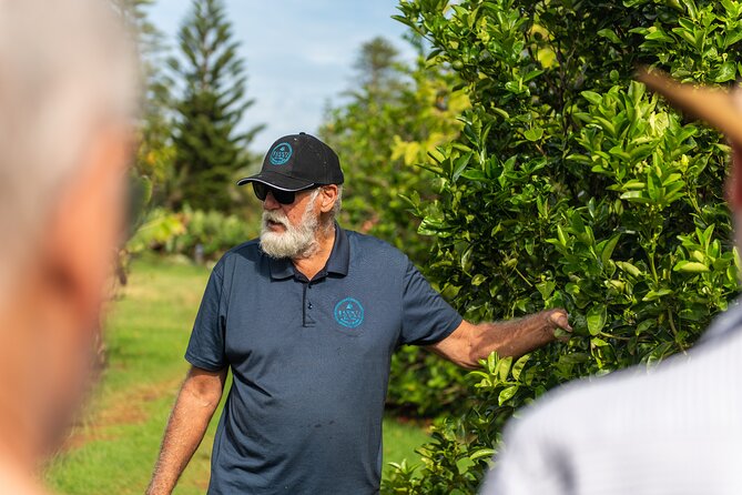 Progressive Dinner to Island Homes - FAQs About the Norfolk Island Home Dinner Tour