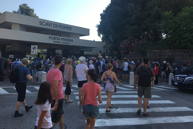 Daily Excursion Full Day 8 Hours ( Vesuvio Pompei) - Why This Tour Works for Travelers