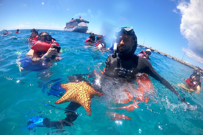 The Frederiksted St. Croix Sea Turtles Snorkeling Tour - Authentic Encounters and Real Reviews