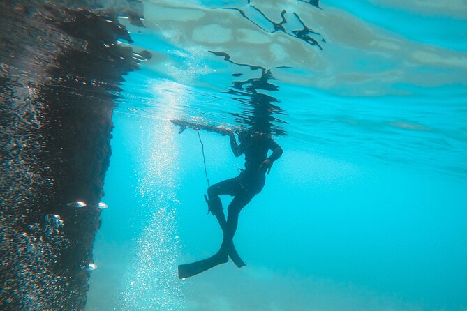 The Frederiksted St. Croix Sea Turtles Snorkeling Tour - Final Thoughts