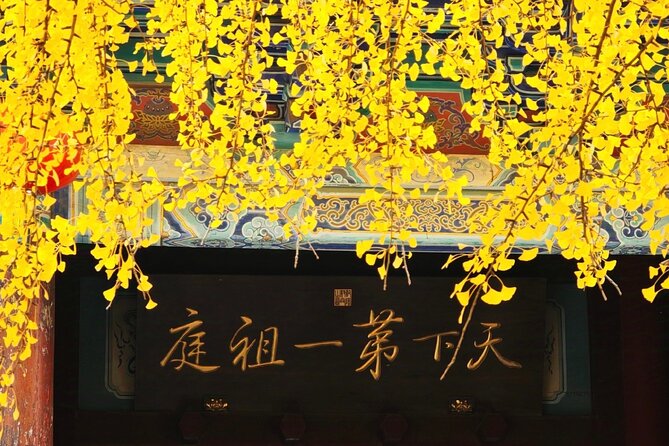 Private Day Trip to Shaolin Temple and Longmen Grottoes - Who Is This Tour Best For?