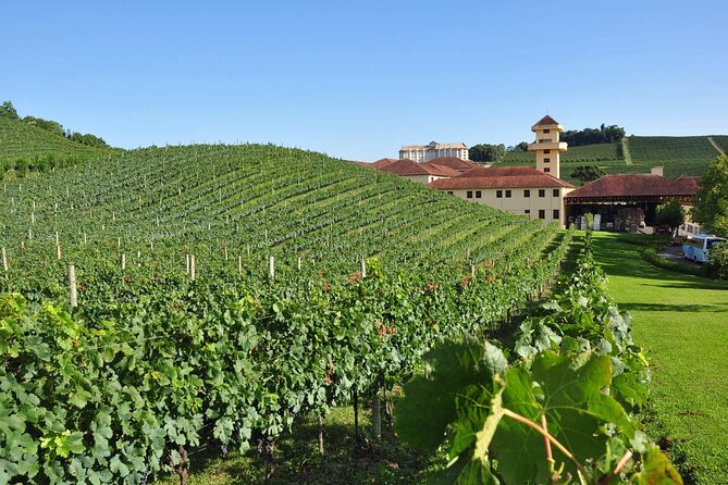 Vale Dos Vinhedos Private Tour From Porto Alegre or Gramado - Accessibility and Participation