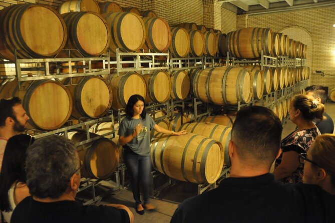 Vale Dos Vinhedos Private Tour From Porto Alegre or Gramado - Italian Culinary Exploration
