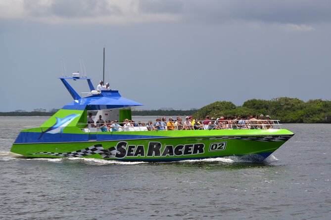 Myrtle Beach Dolphin Cruise - An In-Depth Look at the Myrtle Beach Dolphin Cruise