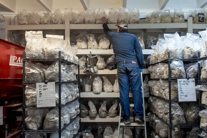 Gourmet Mushroom Farm Tour in Tennessee - Why This Experience Offers Great Value