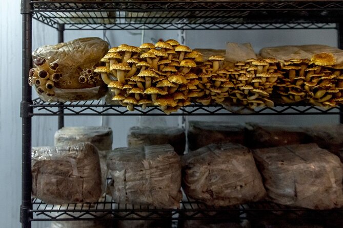 Gourmet Mushroom Farm Tour in Tennessee - Frequently Asked Questions