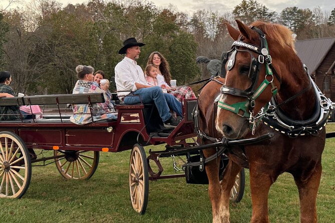 Cozy Farm Experience with Wagon Wheels and Acoustic Meal - Possible Drawbacks and Considerations