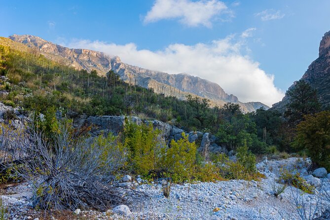 Guadalupe Mountains National Park Self Guided Audio Tour - Who Will Get the Most Out of This Experience?