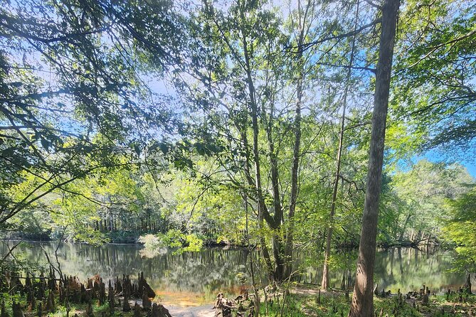 2 Hour Guided Clear Glass Bottom Kayak Tour Gilchrist Blue Spring - The Experience from Start to Finish