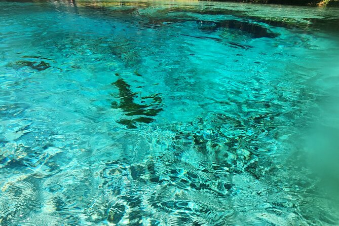 2 Hour Guided Clear Glass Bottom Kayak Tour Gilchrist Blue Spring - Key Points