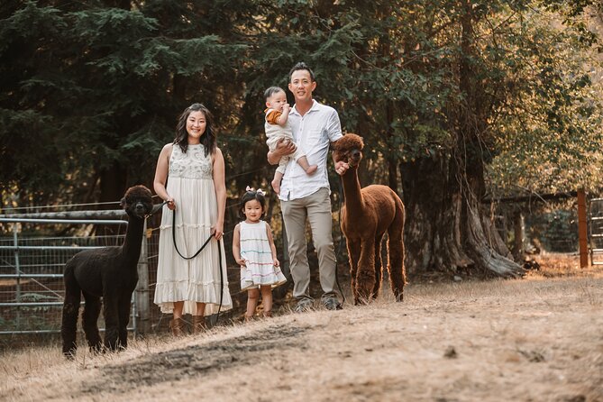 Photoshoot with Alpacas and Farm Experience near Seattle - The Experience: What You Can Expect