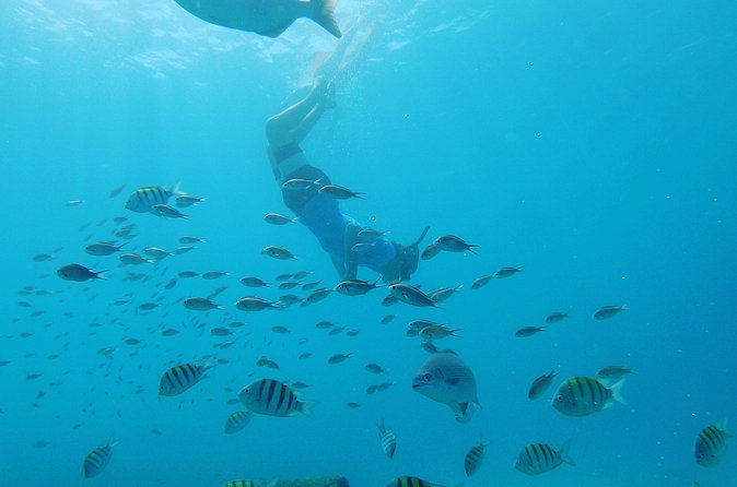 Shasa Catamaran Cruises Limited Numbers 3 Hour Sail and Snorkel - FAQ