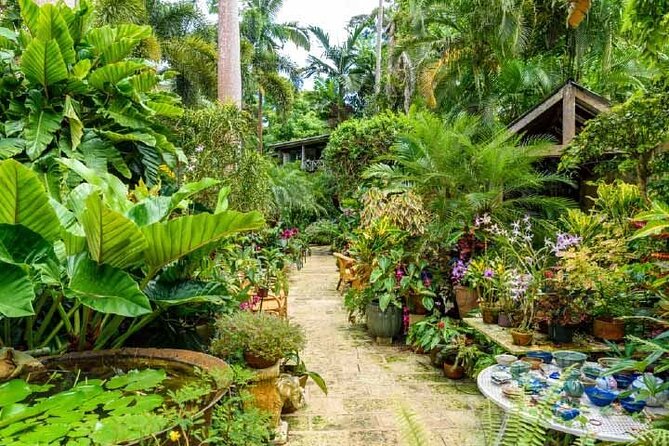 Gardens & Abbey - Introduction: A Taste of Barbados’s Heritage and Natural Beauty