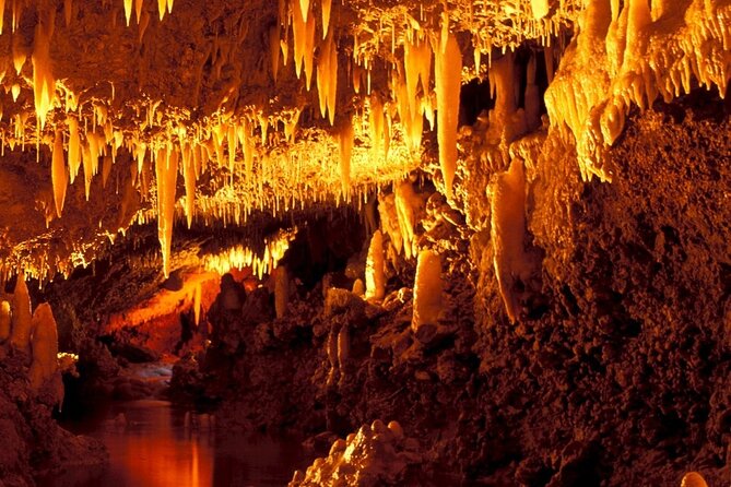 Bajan Wonders - Discover the Heart of Barbados: Harrisons Cave & Mount Gay Rum Tour