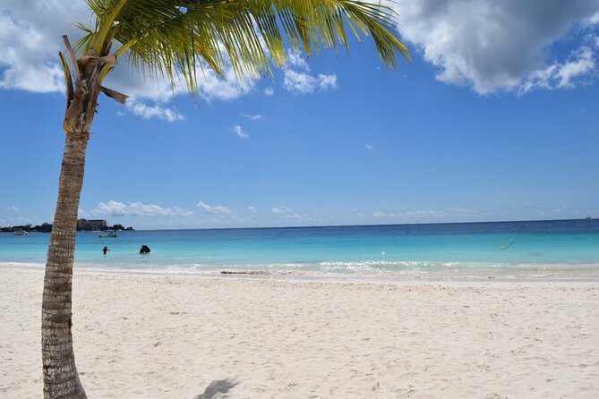 Coach charter in Barbados for 3 to 4 hours for up to 20 persons - Highlights of the Tour Experience