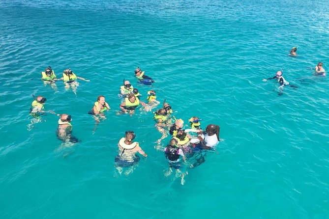 Barbados Turtle and Shipwreck Snorkel Adventure - Barbados Turtle and Shipwreck Snorkel Adventure: An Underwater Excursion Worth Your Time