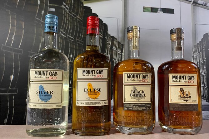 Mount Gay Signature Rum Tasting Experience - Who Will Love This Tour?
