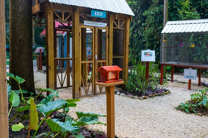 Nature Trail, Tram & Rum Tasting at Harrison's Cave by Chukka - Final Thoughts