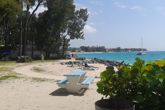 Mouthwatering Foodie Drive Tour in Barbados - Final Thoughts