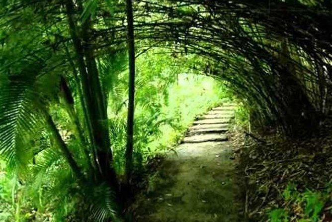 Garden Delight Full-Day Tour in Barbados - FAQ