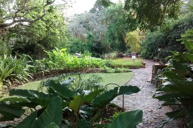 Garden Delight Full-Day Tour in Barbados - An In-Depth Look at the Garden Delight Tour