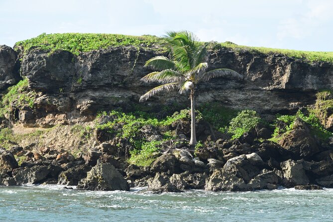 East Coast Private Tour of Barbados - Authentic Experiences and Practical Details