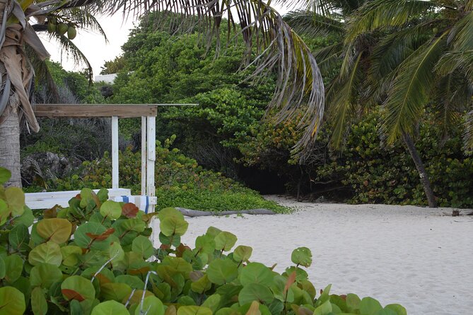 East Coast Private Tour of Barbados - Final Thoughts