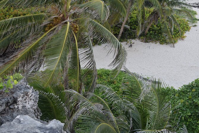 East Coast Private Tour of Barbados - FAQ