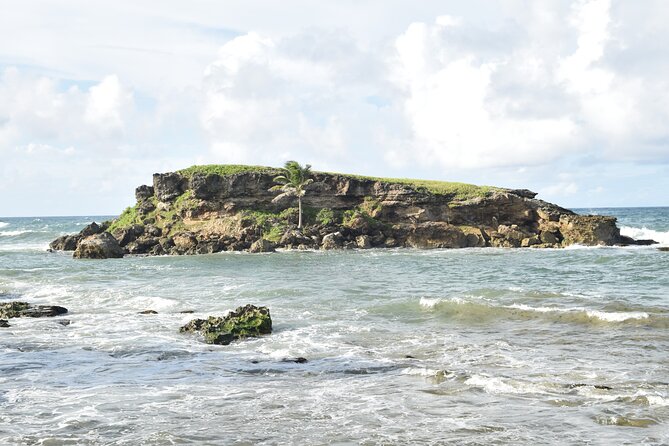 East Coast Private Tour of Barbados - Key Points