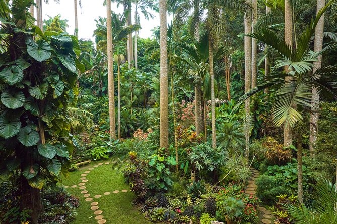 Barbados Hidden Gems Tour Hunte's Gardens and Pottery Experience - Why This Tour Offers Great Value