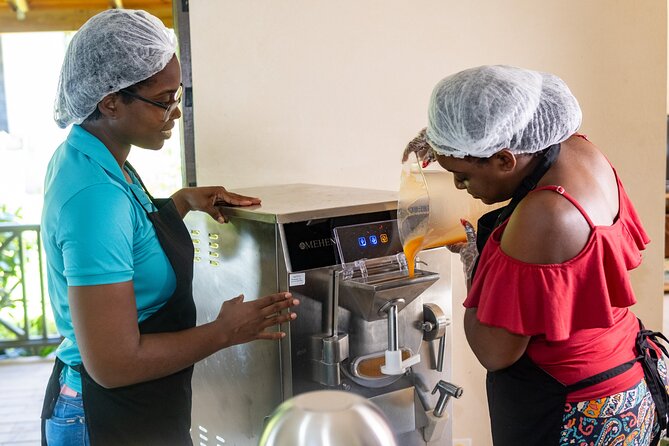 Barbados Fruit to Scoop Culinary Experience : Taste & Make Sorbet - The Flavorful Journey Begins: What to Expect