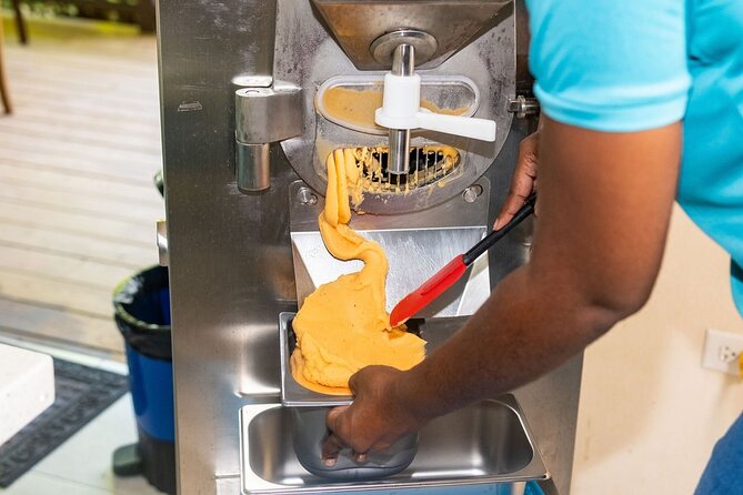 Barbados Fruit to Scoop Culinary Experience : Taste & Make Sorbet - Key Points