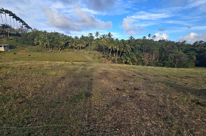 Enslaved Spaces of Barbados - The Experience: Practical Details and Why They Matter