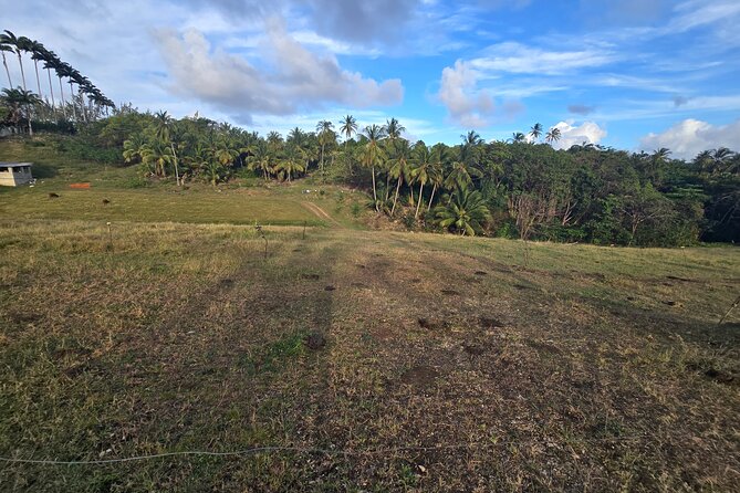 Enslaved Spaces of Barbados - Exploring the Enslaved Spaces of Barbados: A Journey Through History