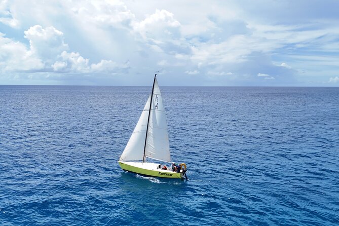 Barbados: Half-Day Private Charter on a J/24 Racing Sailboat - Key Points