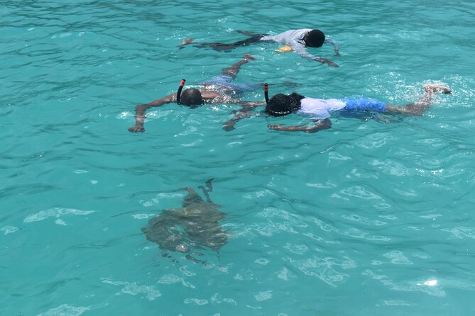 Glass Bottom Boat Snorkeling With Turtles & Shipwreck In Barbados - FAQ