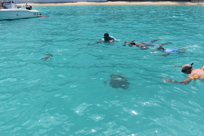 Glass Bottom Boat Snorkeling With Turtles & Shipwreck In Barbados - Final Thoughts